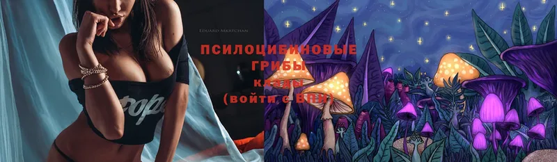 Галлюциногенные грибы Magic Shrooms  Белореченск 